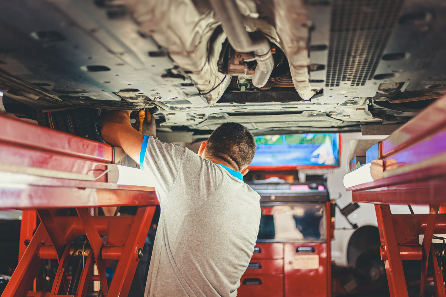 Mechanic doing Warrant of Fitness, WOF Check in Hamilton