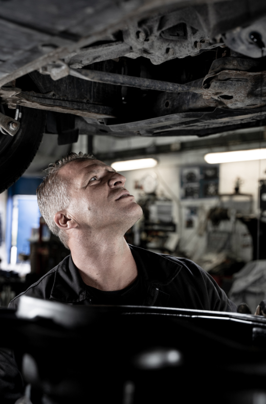 Mechanic conducting a Warrant Of Fitness WOF check in Hamilton